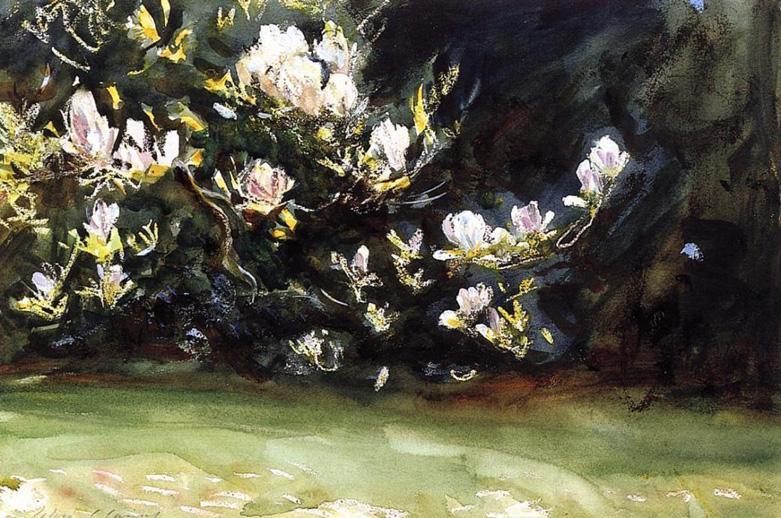 Magnolias Canvas Paintings