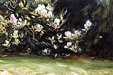 John Singer Sargent Canvas Paintings - Magnolias
