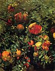 John Singer Sargent Canvas Paintings - Pomegranates
