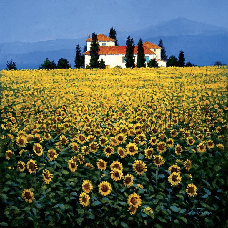 Steve Thoms Sunflower Field Painting Framed Paintings For Sale