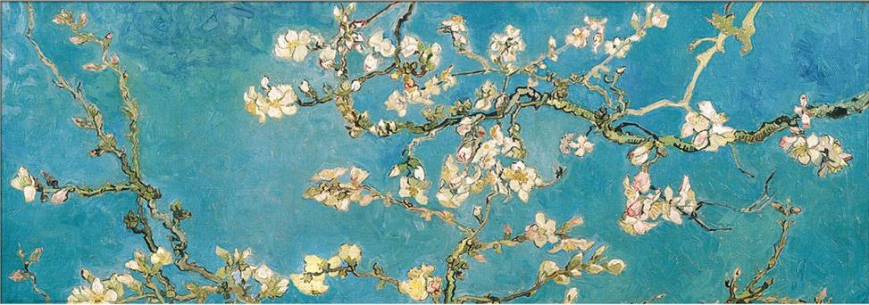 Vincent van Gogh Almond Branches in Bloom, San Remy painting | framed  paintings for sale