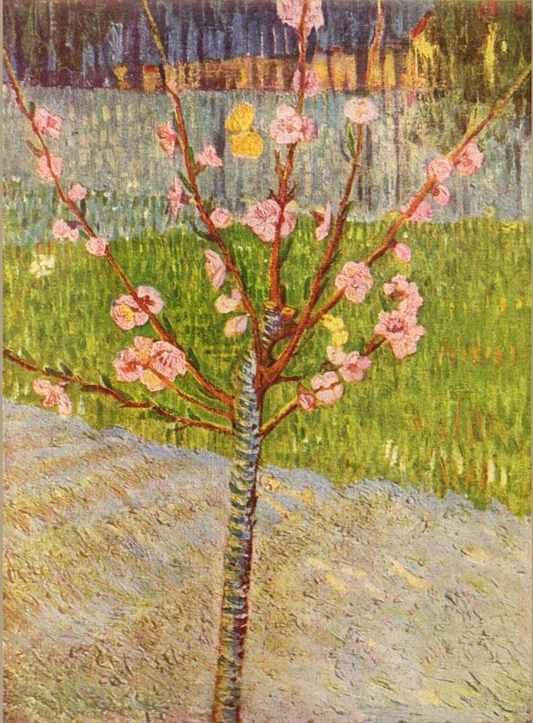Blossom Van Gogh