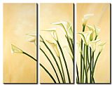 Flower Canvas Paintings - 22010